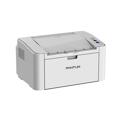 奔图（PANTUM）A4黑白打印机 P2505 有线打印 简约小巧 便捷打印 高速打印